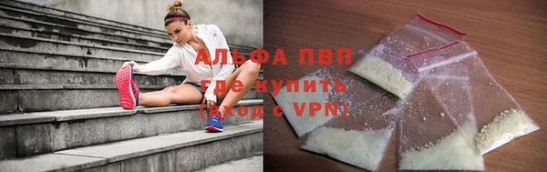 индика Нея