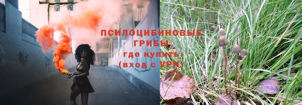 apvp Навашино