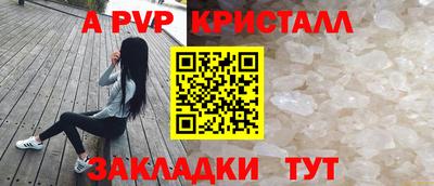 PSILOCYBIN Заводоуковск