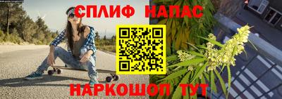 PSILOCYBIN Заводоуковск