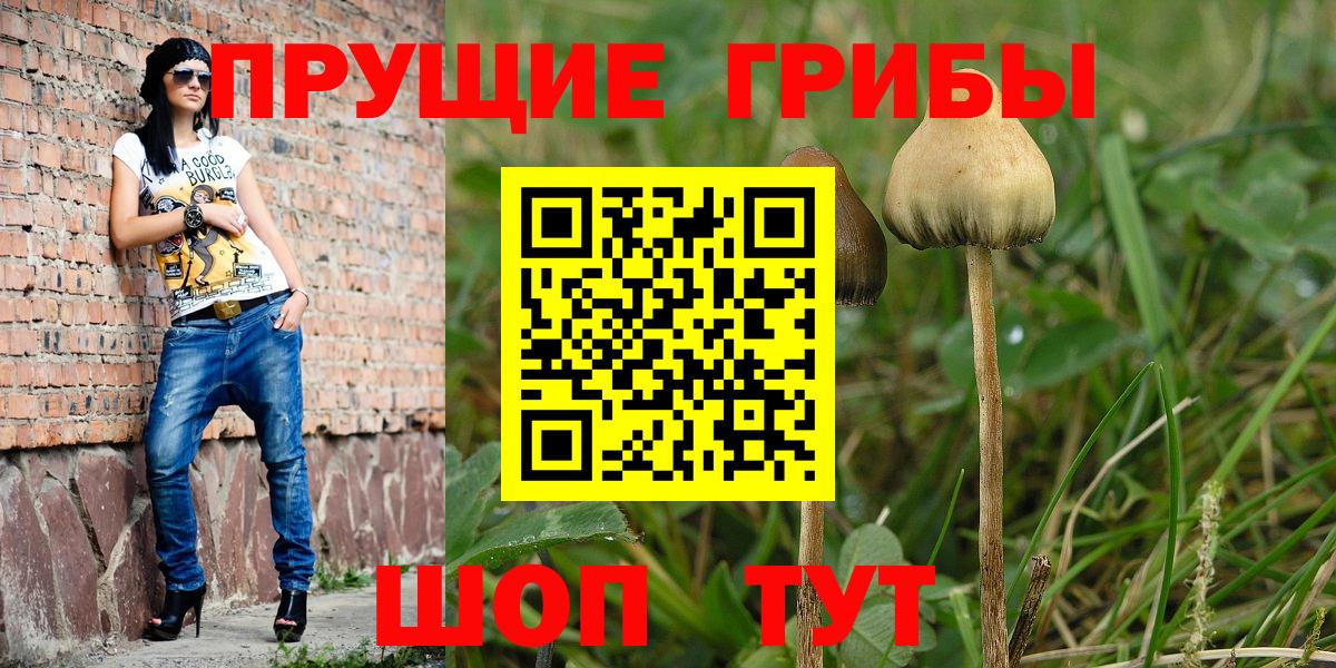 Галлюциногенные грибы GOLDEN TEACHER Химки