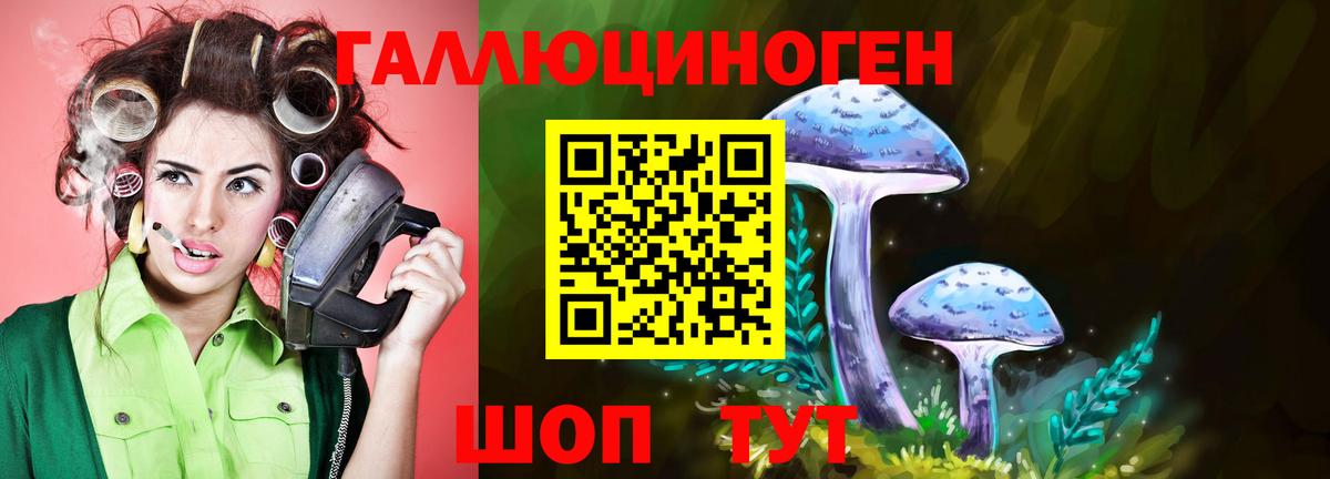 Псилоцибиновые грибы Psilocybine cubensis  где купить наркоту  Вход с VPN  Химки  Галлюциногенные грибы мицелий 